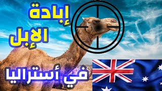 killing camels in Australia  ... قتل وإبادة الإبل في أستراليا