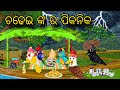 Chadhei nka Picnic \\ Odia Stories \\ Odia Gapa \\ Tiki Chadhei Gapa \\ Bird Story \\ Stories