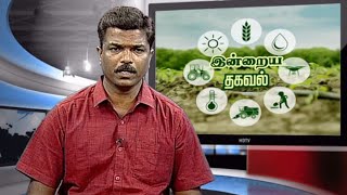 இயற்கை முறை நெல் சாகுபடியில் அதிக மகசூல் பெற செய்ய வேண்டியது என்ன ? | Uzhave Ulagu