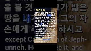 2025.02.13 | 야훼 하나님께서 온전히 순종하는 사람에게 천국을 주시다.(신 1:36) #shorts #야훼 #하나님 #순종 #천국 #가나안 #말씀 #성경 #신명기 #묵상