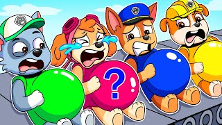 Paw Patrol Ultimate Rescue | Brewing Cute Baby Factory! But All Pups Is PREGNANT | Rainbow Friends 3