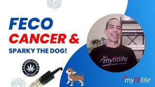 FECO, Cancer, and Sparky the Dog! Does RSO Work On Dogs?