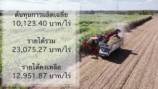 ประกวดเกษตรกรดีเด่น สาขาพืชไร่