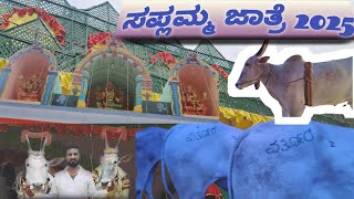 ಸಪ್ಲಮ್ಮ ಜಾತ್ರೆ 2025 | Saplamma Jatre 2025 | Varthur Santhosh PART- 1 #village #festival #cattle