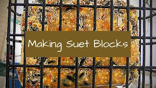 How to make suet blocks - all natural - plant based - EASY