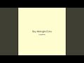 Sky Midnight Echo