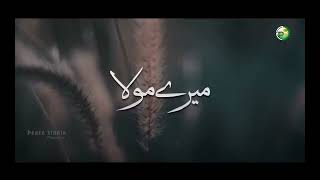 Heart Touching Kalam   Mery Maula Teri Rehmat Se   By Shahid Khattab   Lyrical Video homeland islam