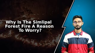 Why Is The Simlipal Forest Fire A Reason To Worry?