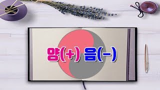 초보사주 음과 양에 대해