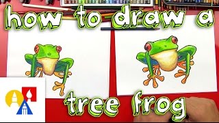 How To Draw A Tree Frog