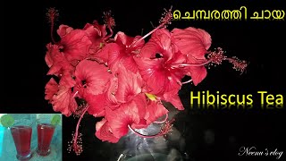 How to make Hibiscus Tea||ചെമ്പരത്തി ചായ ഉണ്ടാക്കുന്ന  വിധം