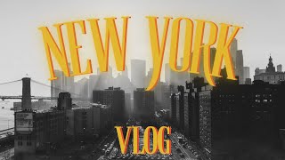 NEW YORK VLOG / NYC VLOG IN HINDI /VISITING NYC