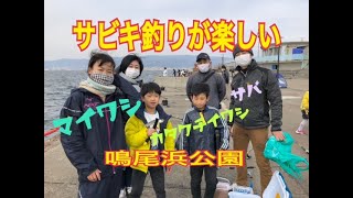 鳴尾浜公園　サビキでマイワシ