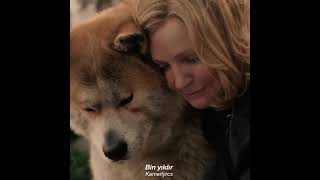 Hachiko: A Dog's Story / edit