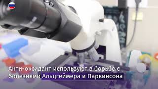 Российские ученые совершили уникальное открытие