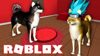 база ютуберов Damon Nikol Crazyfamily Roblox - 