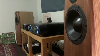 Saltwood Sounds and Java Hifi