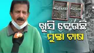 ରୋଜଗାର ଦେଉଛି ମୁକ୍ତା ଚାଷ | Odisha Reporter