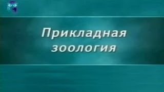 Зоология. Урок 1.5. Кольчатые черви - жители подземелий и морского дна