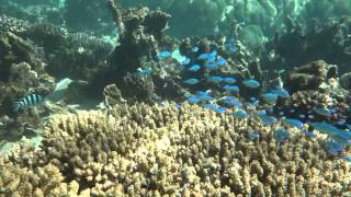 Point Quobba   The Aquarium 1