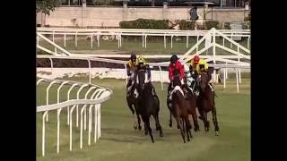 2016.09.18 Premio Coolmore (ITA) - Mi Raccomando