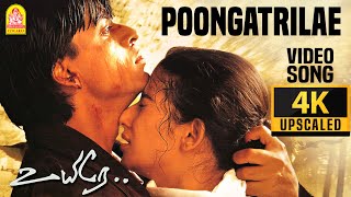 Poongatrilae  - 4K Video Song | பூங்காற்றிலே | Uyire | Shah Rukh Khan | Manisha Koirala | AR Rahman