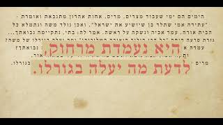 מרים - ראתה מה שאף אחד לא ראה