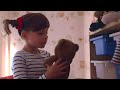 MOVING HOME! 🏡 😞 😢 | TOPSY & TIM | WildBrain Kids