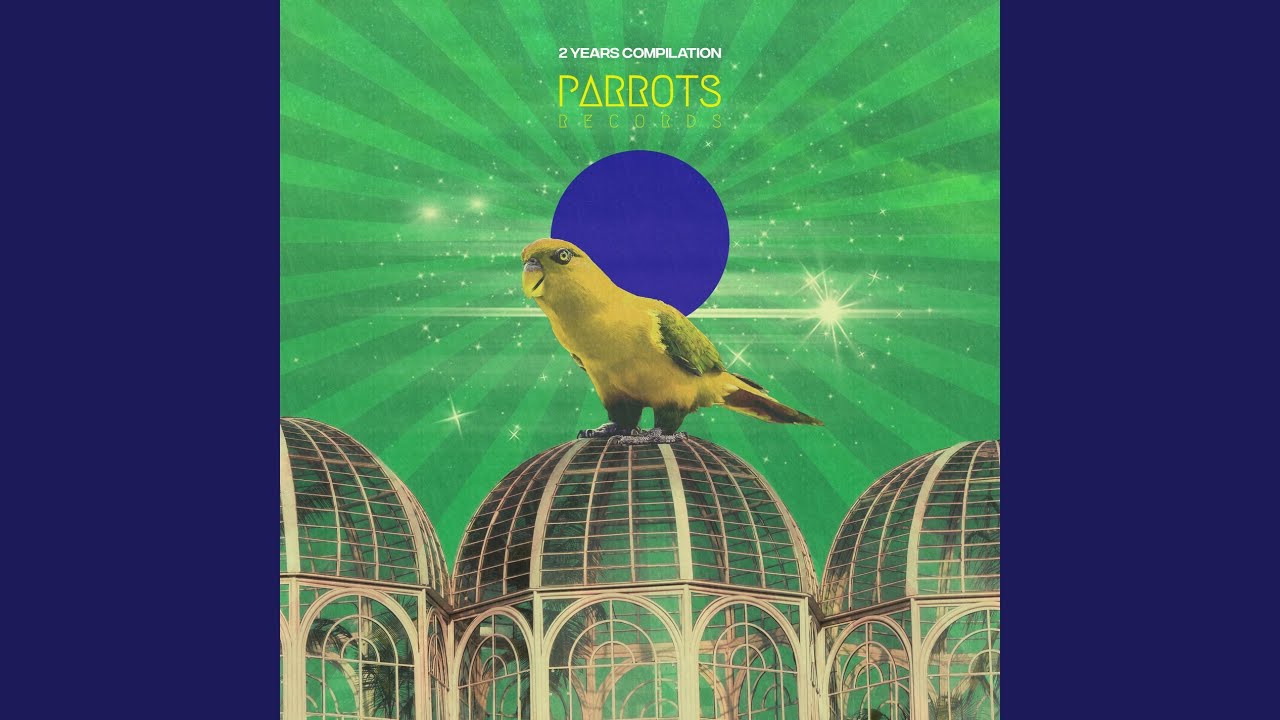 Moog Experience Youtube Music