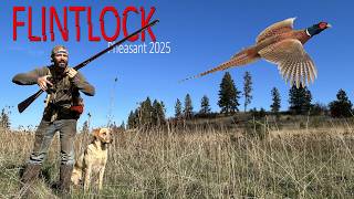You've NEVER Seen a Pheasant Hunt like THIS! FLINTLOCK Hunting!