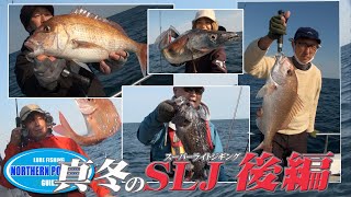 【ＳＬＪ】真冬のSLJ、今年は何かおかしいぞ！（後編）