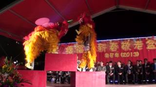 塘福新春盤菜宴2013 北獅表演