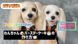 【ワンちゃん用バースデーケーキ🎂の作り方】とっても簡単なので、ぜひ作ってみてください💓🎶