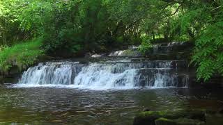 Waterfall & Bird Chirping Nature Sounds for Sleeping - Relaxing Sleep Water Sound & Birds Singing