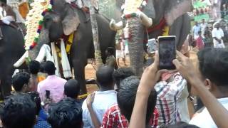 Pooram Korechal 2017