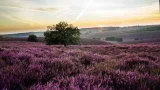 Op de Grote stille Heide (Groot Nederlands Mannenkoor) M Mans