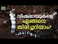 കേരളത്തില്‍ എത്രയിനം പാമ്പുകളുണ്ട്? അവയില്‍ വിഷമുള്ളവ ഏതൊക്കെ? Snakes of Kerala | The Cue