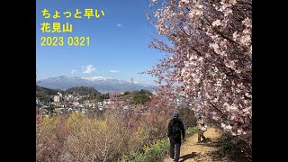 花見山（ちょい早め）2023 0321