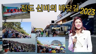 진도신비의 바닷길 축제 2023 | 3days Compilation |