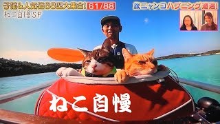 20200222（土）　ねこ自慢　猫の日特集3