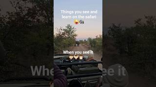 Things you see and learn on the safari drive. #safari #elephant #ngala #krugerpark #andbeyondngala