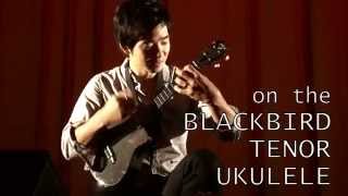 Jake Shimabukuro- 143