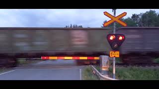 Double Sr2 pulled heavy iron ore freight train 5242 passes Pikarinmäki level crossing