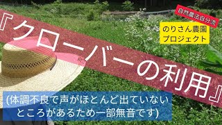 【自然農】『クローバーの利用』のりさん農園プロジェクト