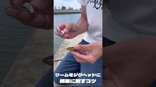 【初心者必見】ワームをジグヘッドに綺麗に刺すコツ