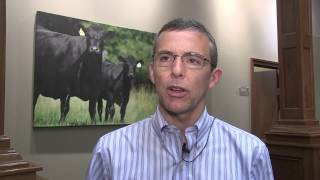 Angus VNR: The bottom line of beef prices