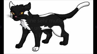 Warrior Cats 6 Katzen Mit Superkräften