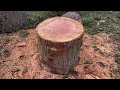 How to split large wood rounds (no axe required)