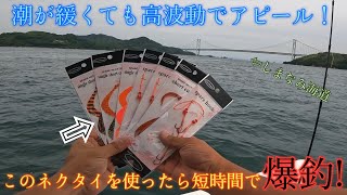 このネクタイが凄い!!潮が緩くても高波動でアピールして短時間で爆釣した!!【タイラバ】