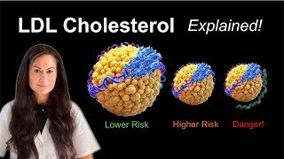 Secrets of LDL Cholesterol: LP(a), ApoB \u0026 Particle Size Explained!